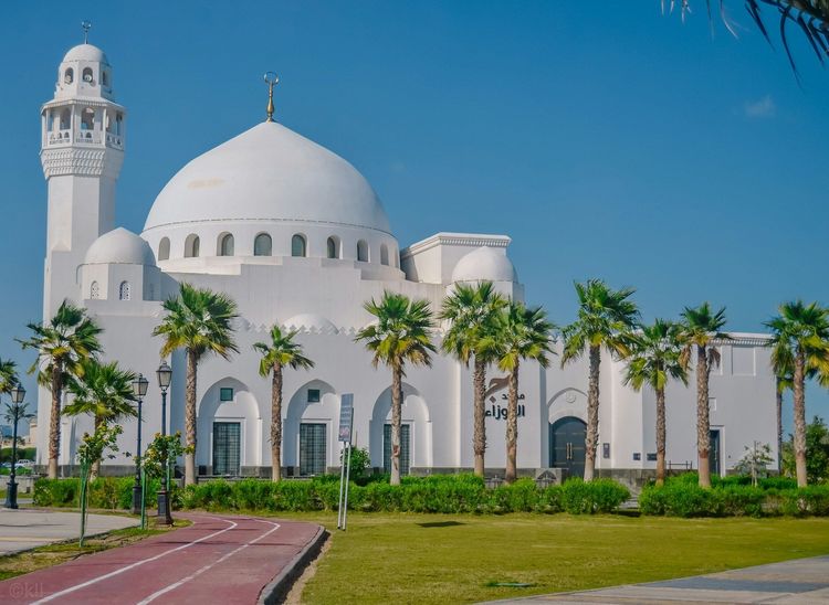 Saudi Arabia Premium Permanent Residency (Iqama)