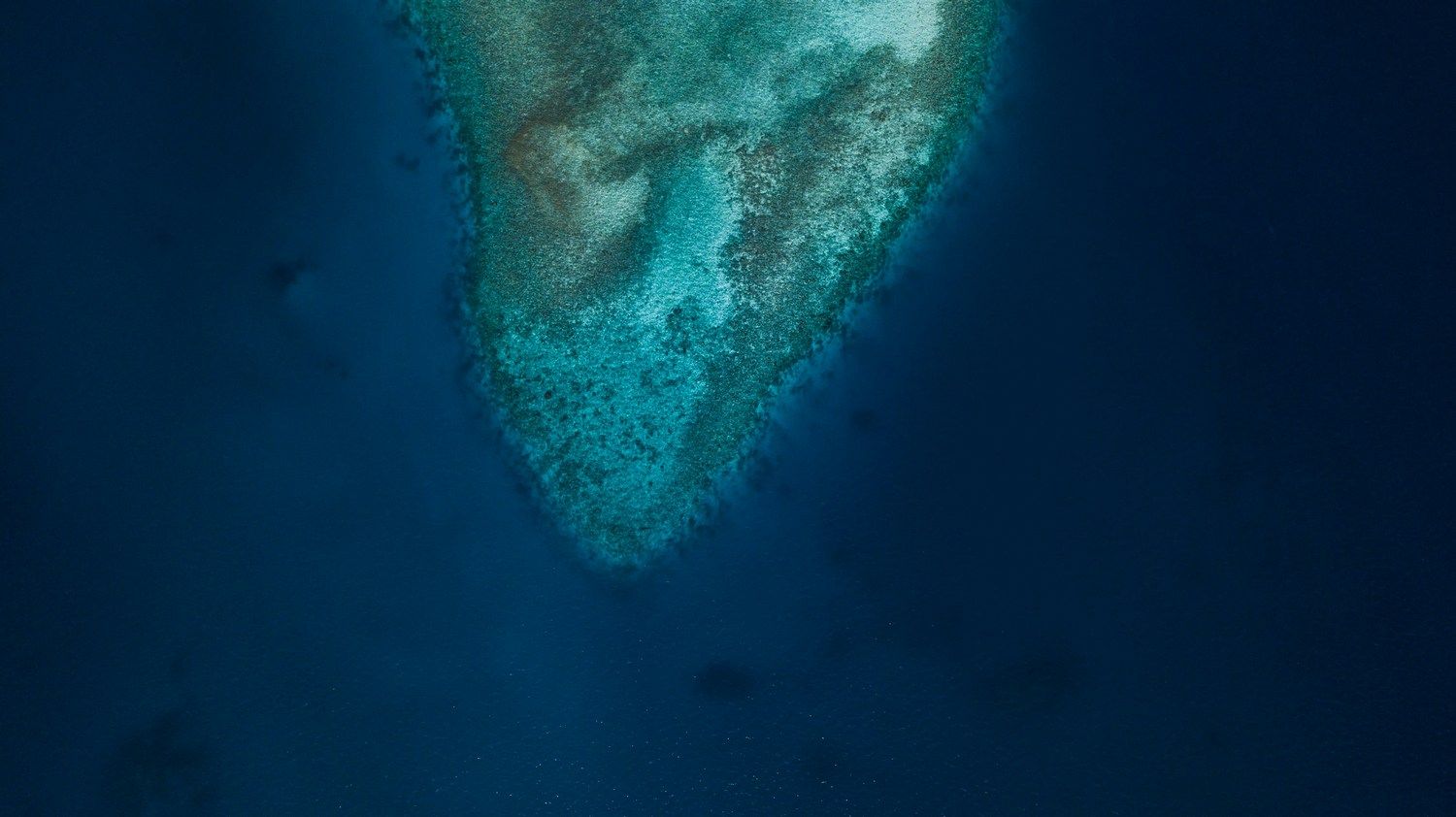 zidhan-ibrahim-RAeSSOieLGA-unsplash.jpg